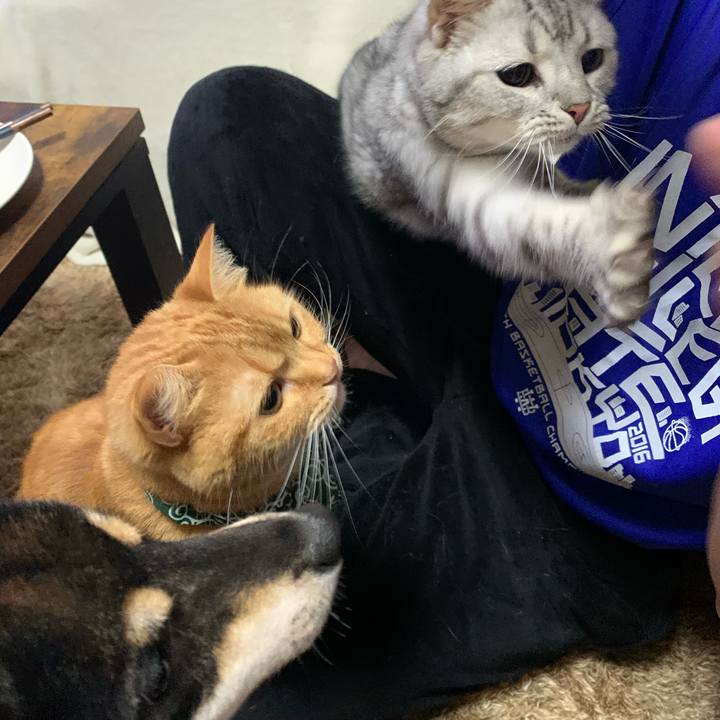 0cdddcb1 c265 4112 9bc5 aa0a7b61f7cb 1584445060968