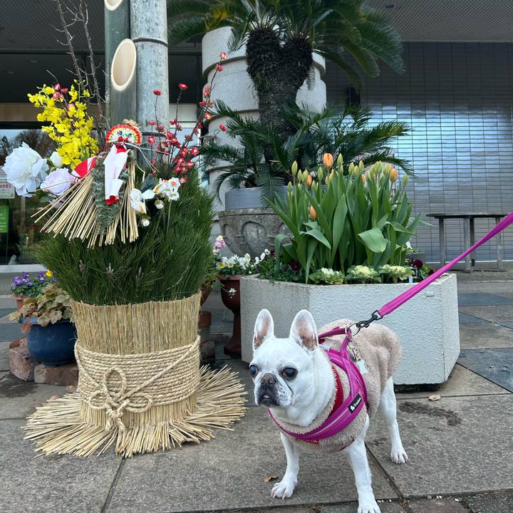 0cde7fcd 6d40 497c a471 773bc7caed1a 1735705925548