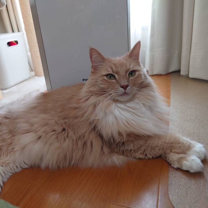 0cde90eb 7e28 4699 a0f6 a4b6d8e44417 1620960916845