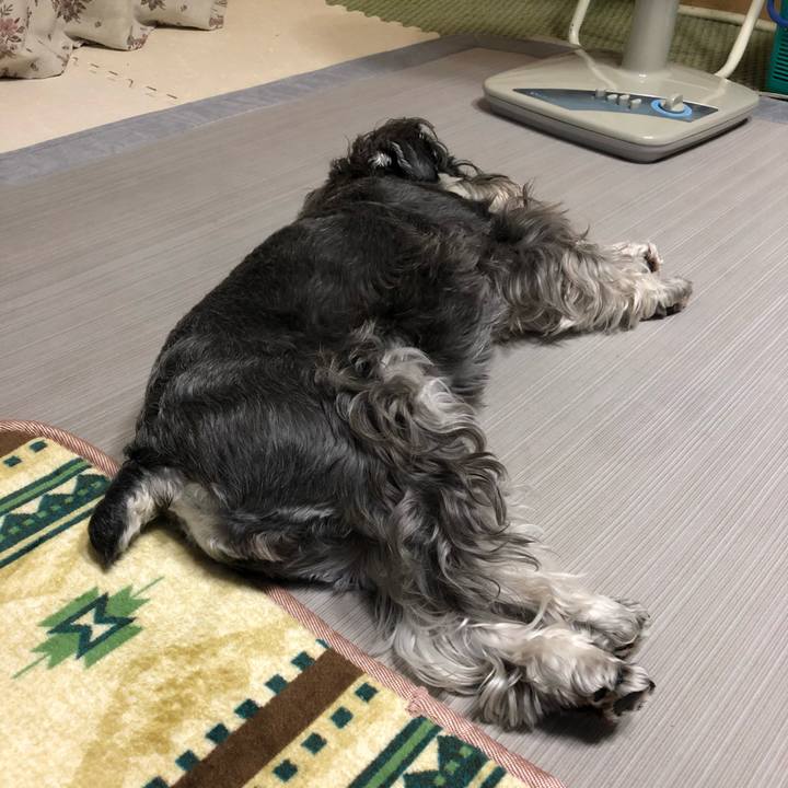 0cdebcde 78a9 46fd 9a2b bd7274b3bb99 1592479821932