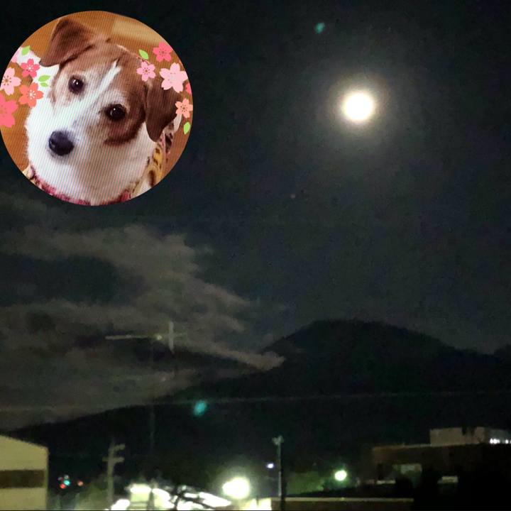 0cdecca9 d174 478c b1dc d7887d7bea4e 1568038924279