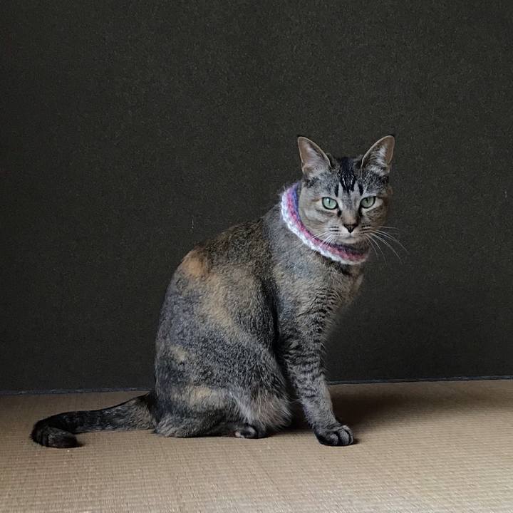 0cdecf3d a2e9 4f77 9c9e 6129cbd601a2 1621415786839