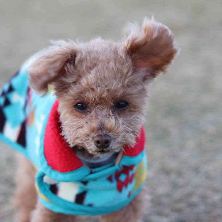 0cded7c6 bf65 4810 ae84 0cd8759da424 1604844906109