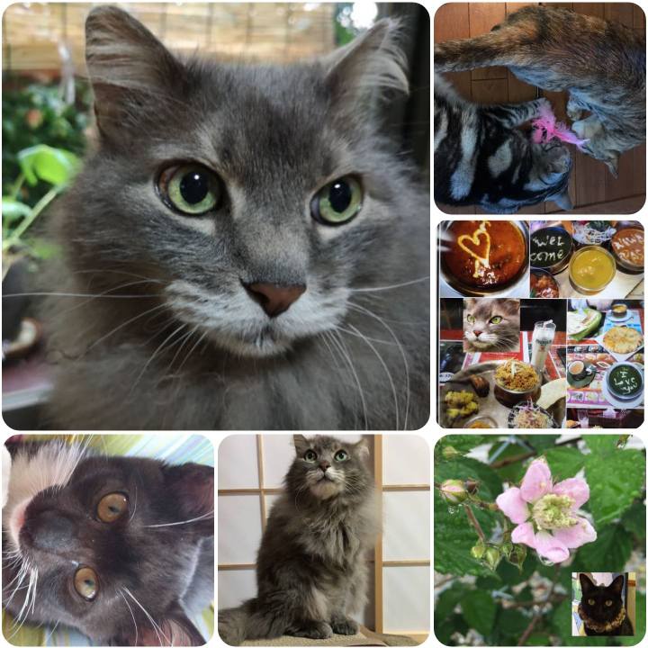 0cdedb29 aa9f 43cb 996a 7b91b0ed67b3 1558436208564