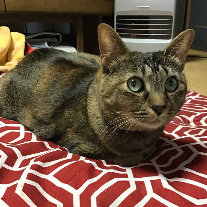 0cdf0a2e 7e49 4468 aa46 bea5501c7a31 1638917770777