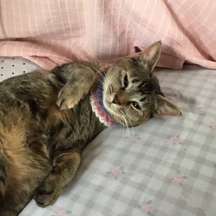 0cdf42d4 737b 45bc 9839 56e3a431b1cb 1621139734193