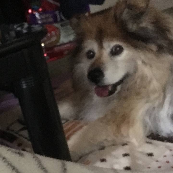 0cdf4f68 b6cb 4be3 afc2 68553824716b 1579740057828