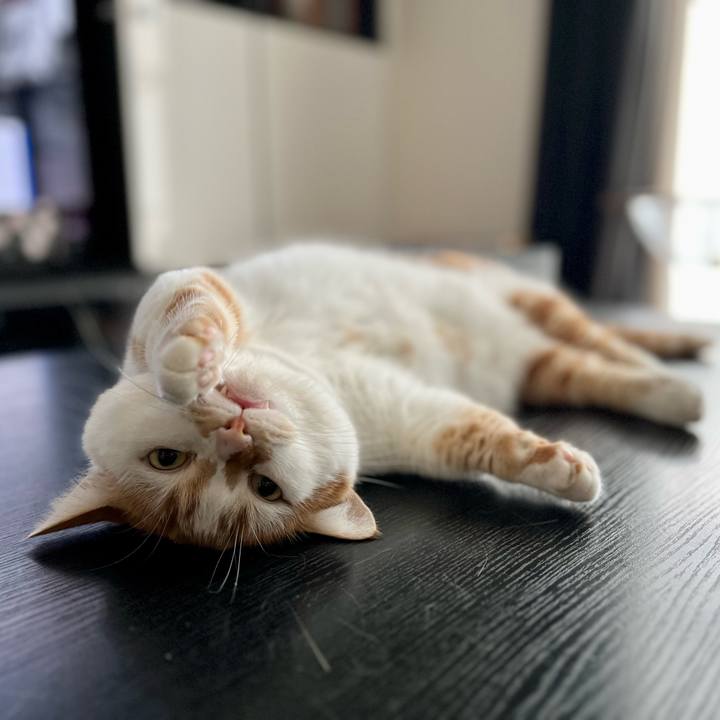 0cdfb0ef 68fb 4b0b b976 b2397a1b1b89 1755748150884