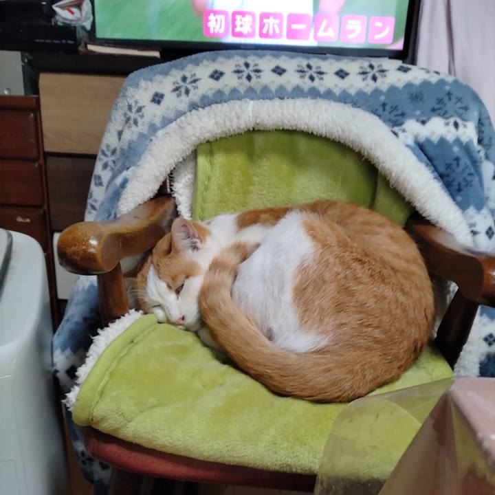 0cdff995 673a 4fdb 87dc e3646ee373ac 1743746561111