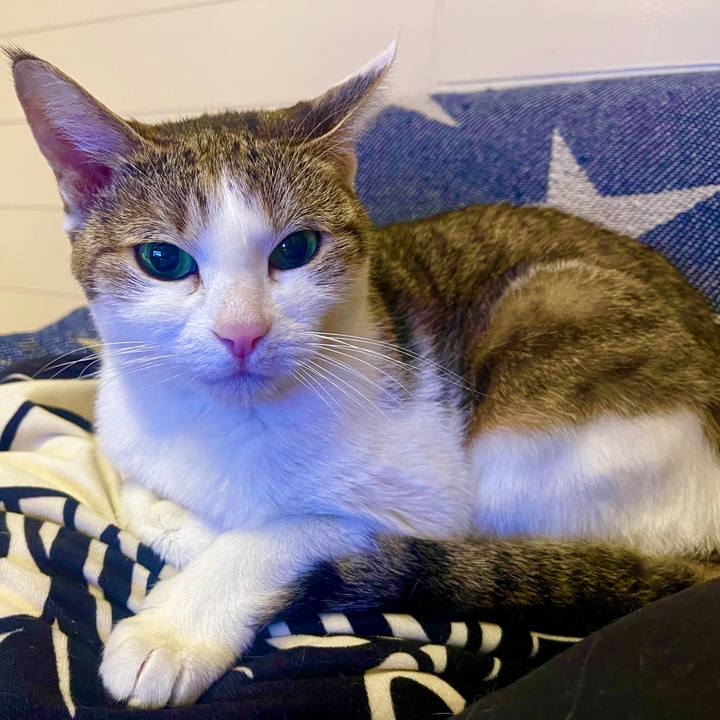 0ce00af4 d066 40a8 ab02 1195ed1580d1 1634806885409