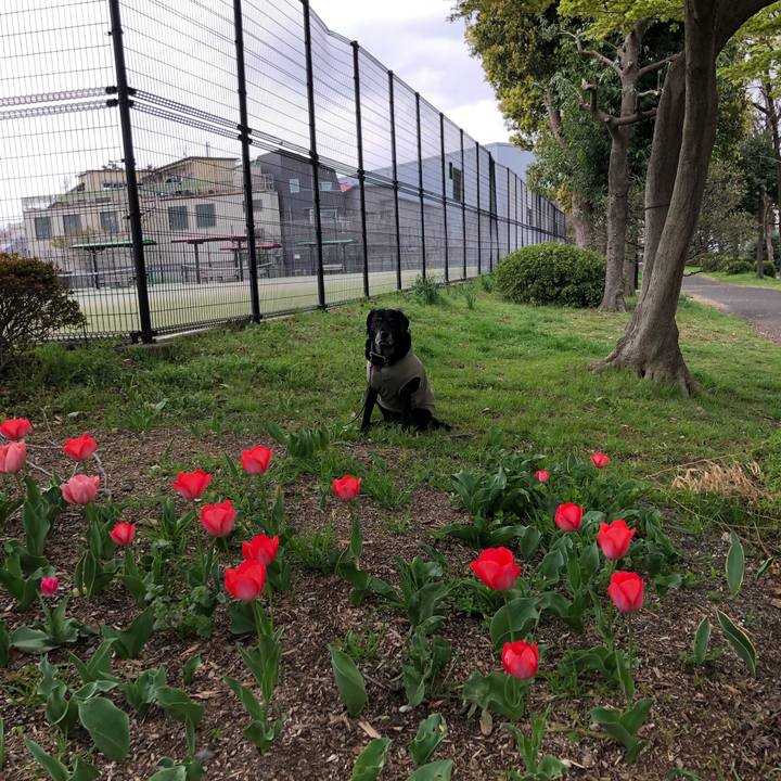 0ce01b59 53db 4eeb 88cd 0ec9273f7924 1616903957184