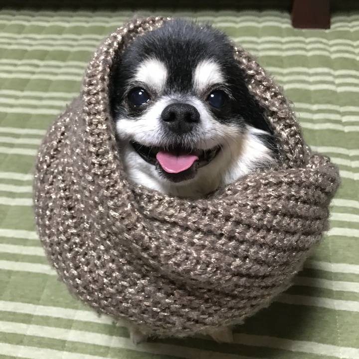 0ce01b9c 9a4c 40c7 8fed d64c3ea689a5 1772724056651