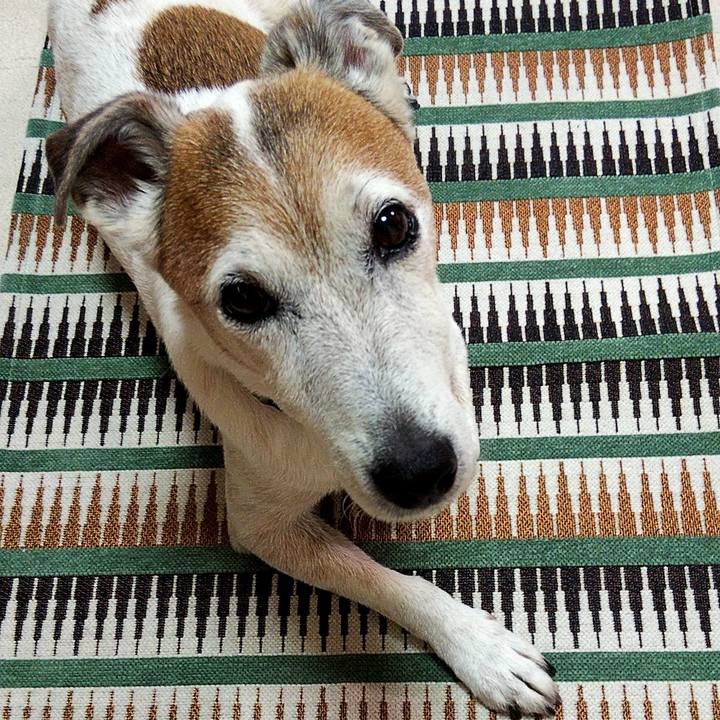 0ce028b6 800d 4d68 8337 75ab86931a06 1593923147957