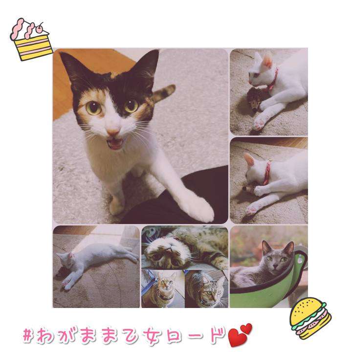 0ce038c1 8823 4d6f 90cd 4c2ebe3d7519 1568105338401