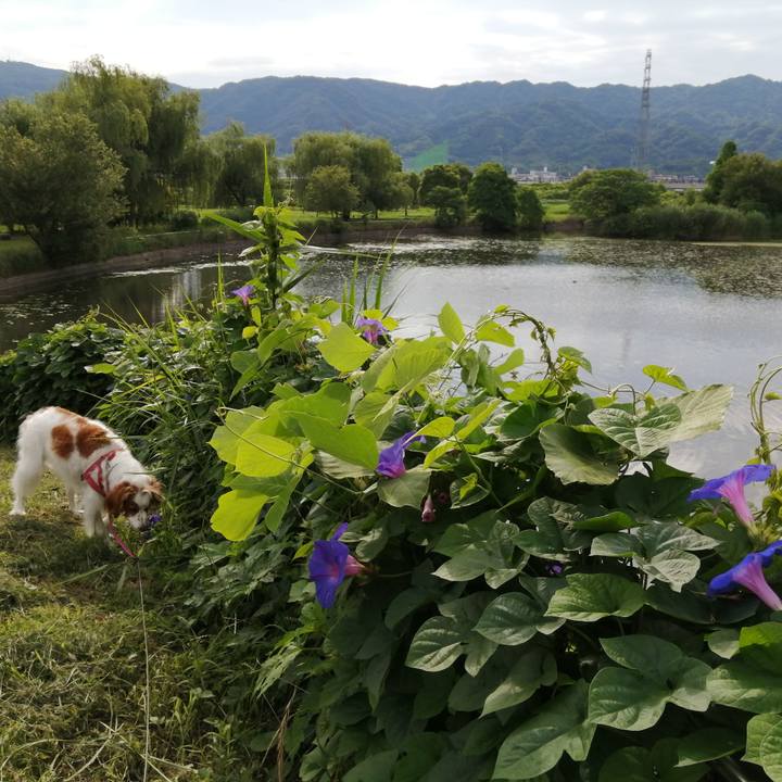 0ce03eba 3d78 4257 8388 1d830b8b3be1 1592783982976