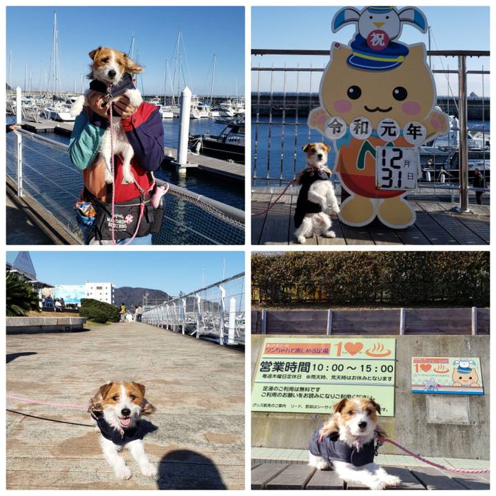 0ce049fe 43d5 47d1 94fa 07b342828184 1577762862348