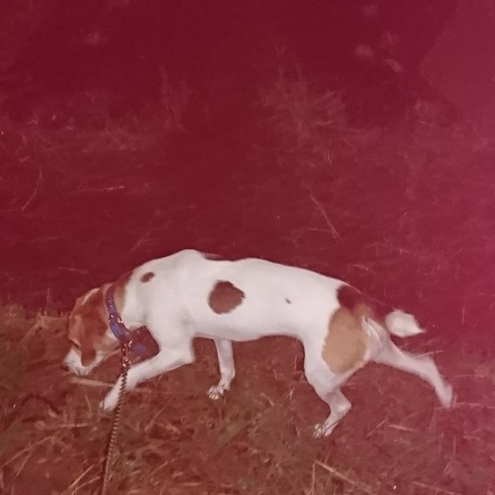 0ce08be4 118b 4b73 b48e c91f0a4c5652 1570889605979