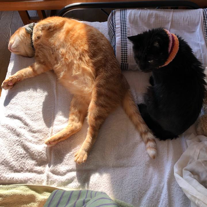 0ce0938f 990d 4c8f 8442 e6abf9e87f29 1588196457050