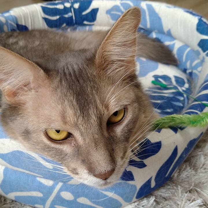 0ce09a76 9632 4abd 87c9 e351812456a1 1605939093064