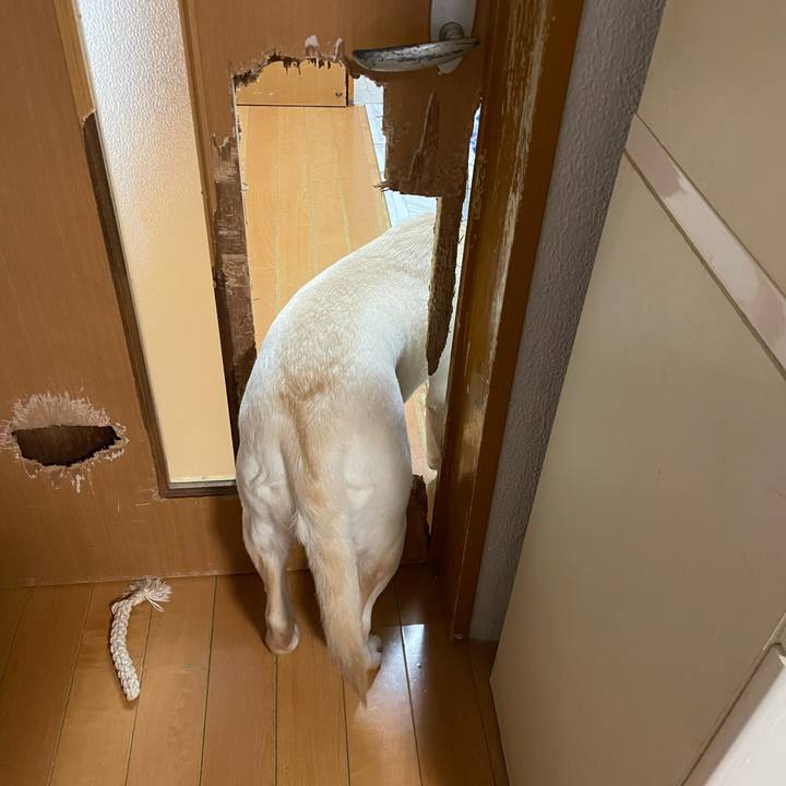 0ce09b1e dac0 4589 b1ac 986d06b706cb 1674959419772