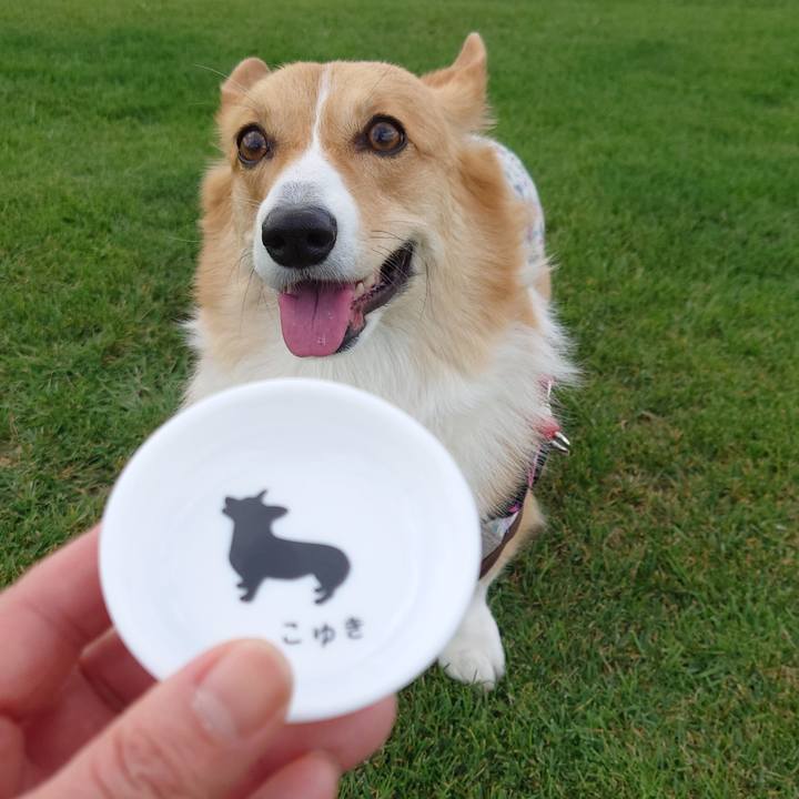 0ce0fb74 3335 42ad 936f bb1d19966a86 1760845237248