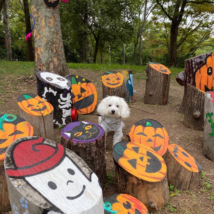 0ce10d26 efc4 4e0e bbbd d632e9de7fc9 1601980222692