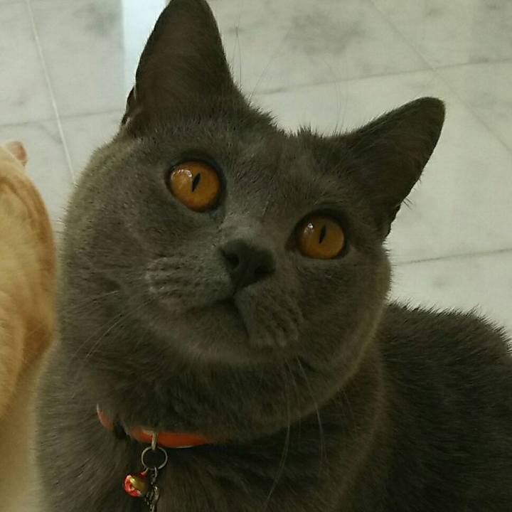 0ce116df cb2f 43ea a9b0 89e03153767d 1535000765224