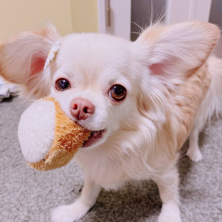 0ce122da ea83 49e7 8da4 0c6da0084400 1677153572254