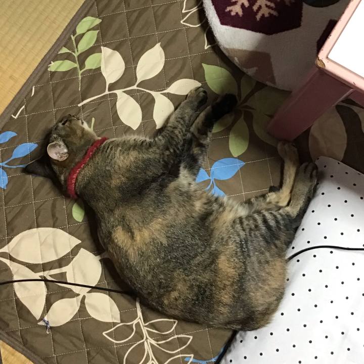 0ce17e4b 6cd7 46d5 8a47 61f53df62aed 1601330714404