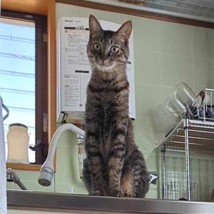 0ce185fc 83d4 4678 9c81 7db98b6125f9 1753171295684