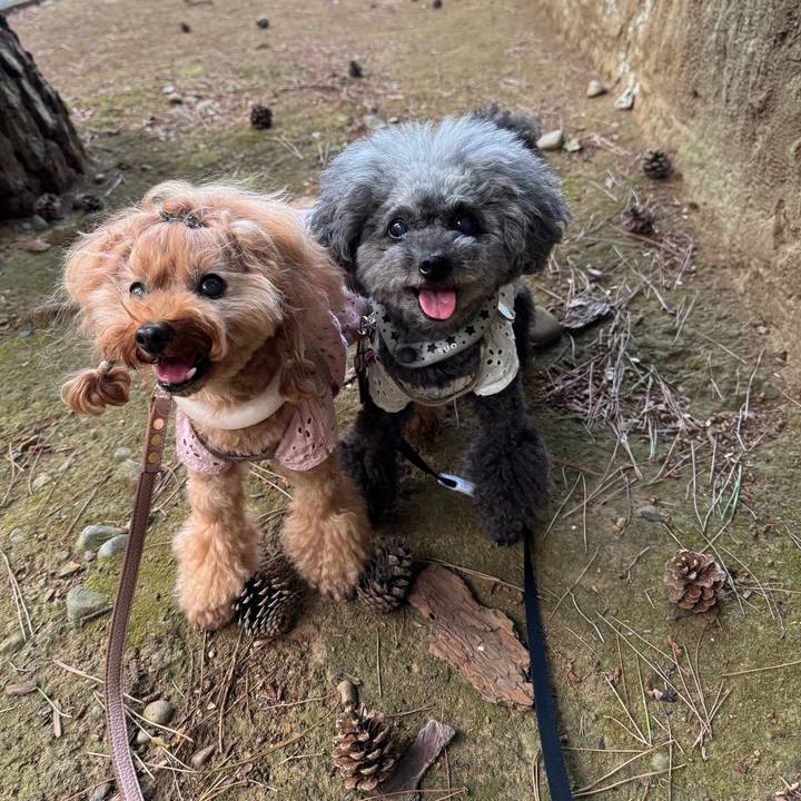 0ce1b57e 2152 4ee5 91a9 4c35e69407ec 1755988367260