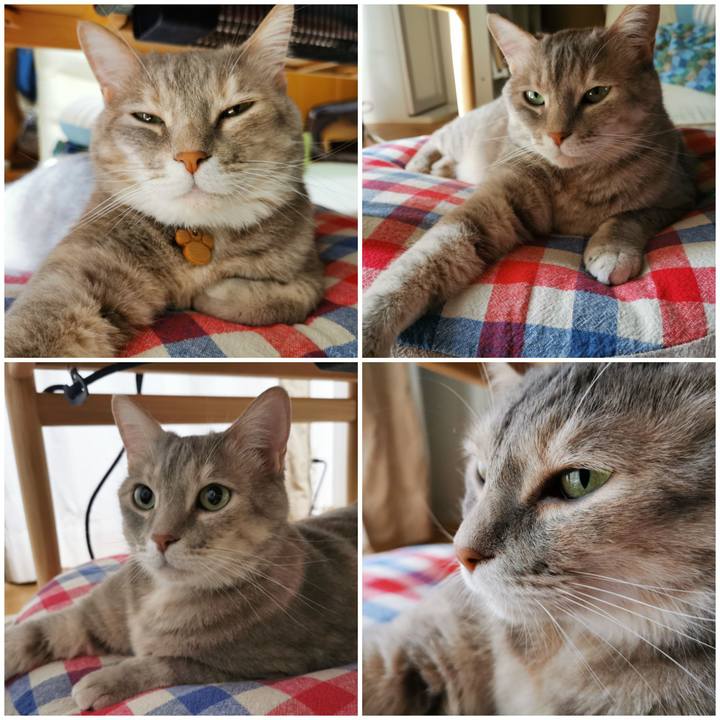 0ce1c6c7 d47f 49ea 8fb1 8604321a8a2a 1651303751751