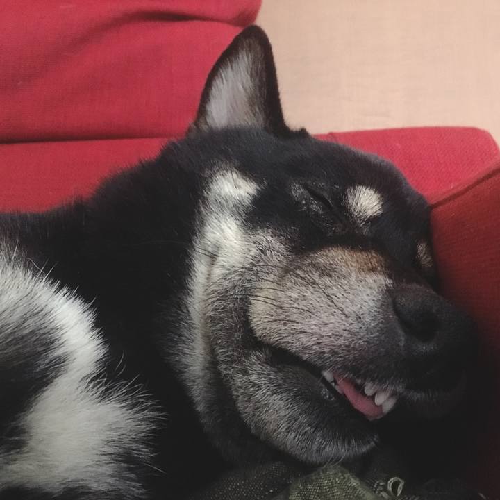 0ce1d58a 50fd 453f 8dd5 0fe75a58ffdd 1557409728300