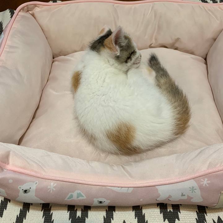 0ce20c1a b8f7 4a8e 9e62 2dcc2ecea86b 1591174569340