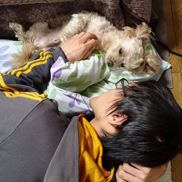 0ce21a25 0c67 40a2 babb 1fddfe77d686 1606046193453