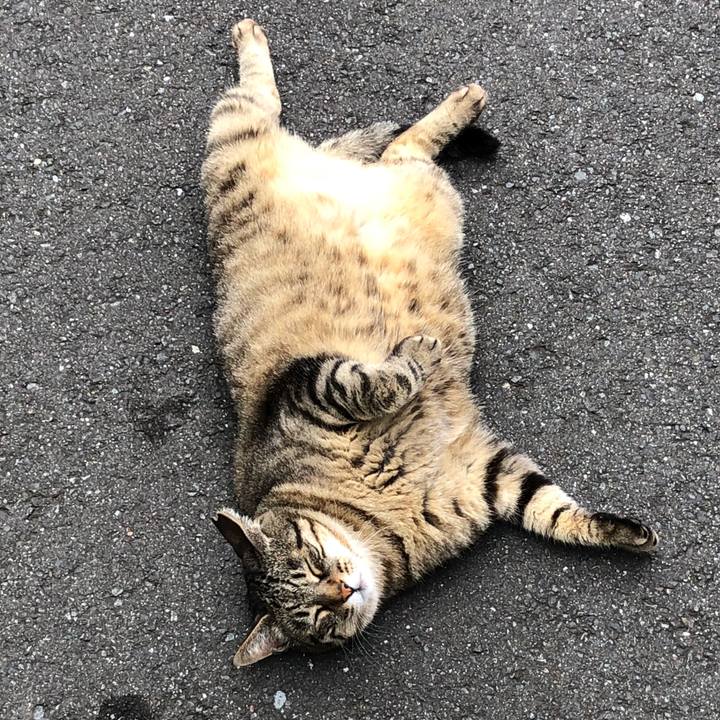 0ce24b40 931c 4b09 88e2 0864ba785f10 1530675696006