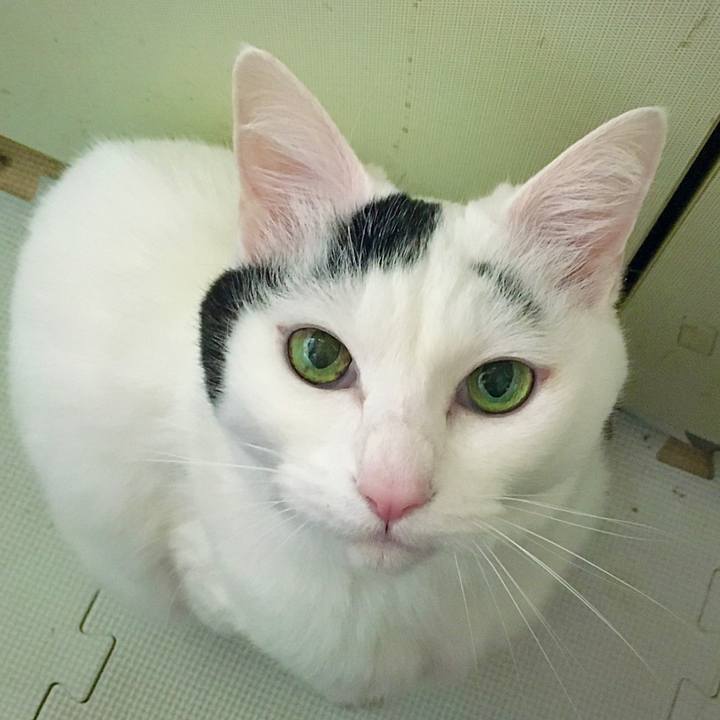 0ce2910f ca1e 4869 a803 dd7aee7eb3aa 1619075570501