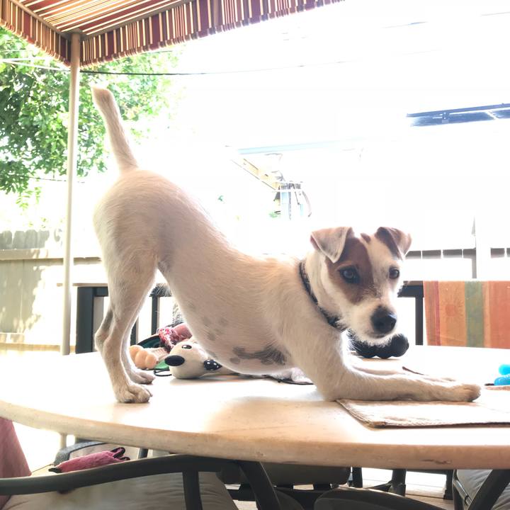 0ce29628 da63 45bb 9bdc b52cb9eb6cd0 1532816071976