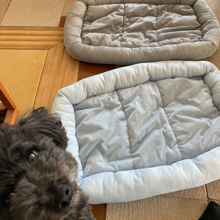 0ce2cfd7 26c7 400b 80ed 1312c73882d4 1620057595497