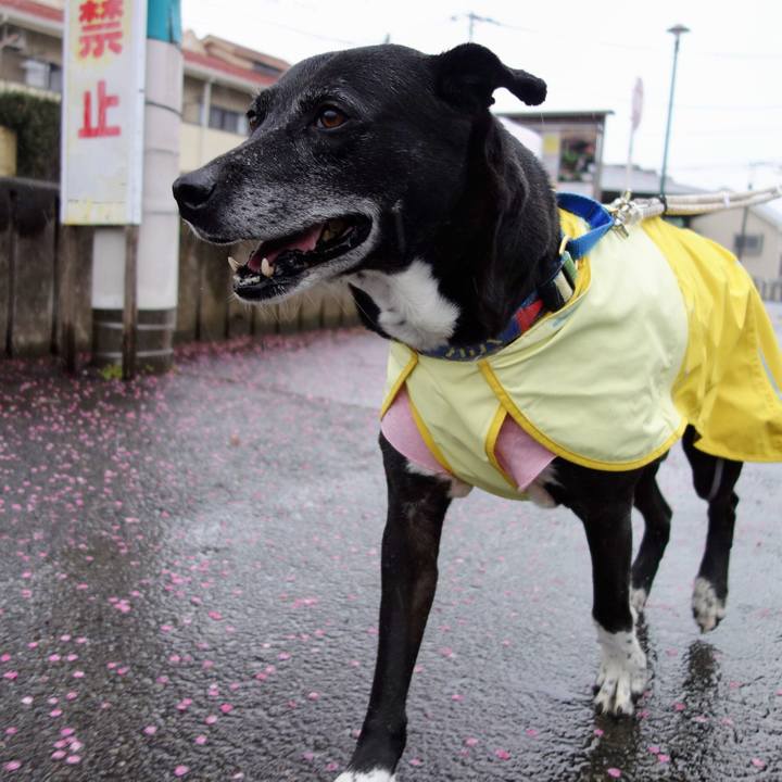 0ce2d97e bb78 4d8f beed facf0bb608de 1740958932526