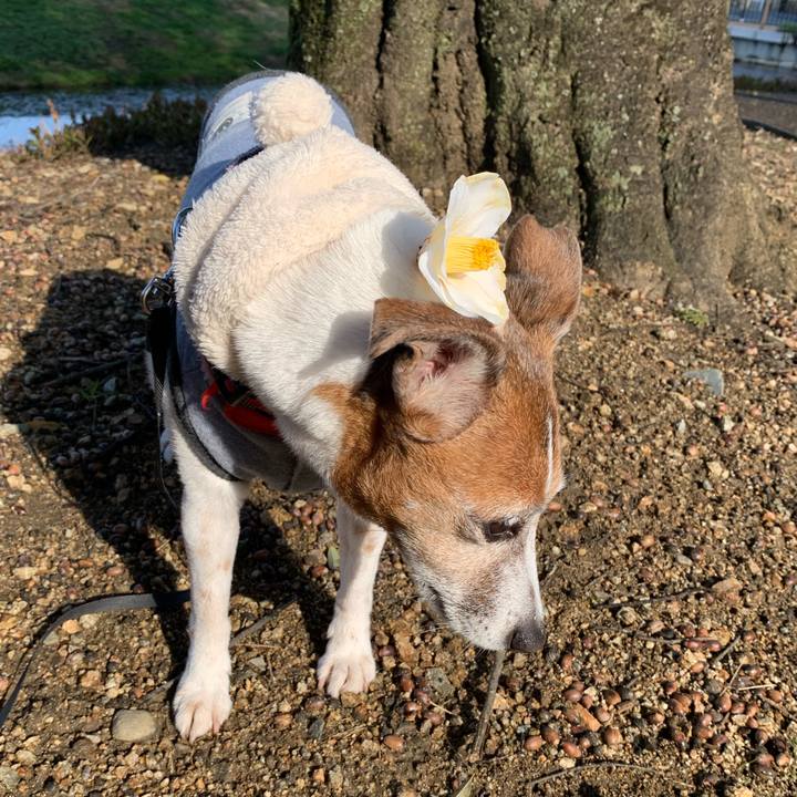 0ce322f7 1060 4647 8ca6 2a975873ce22 1584232711443