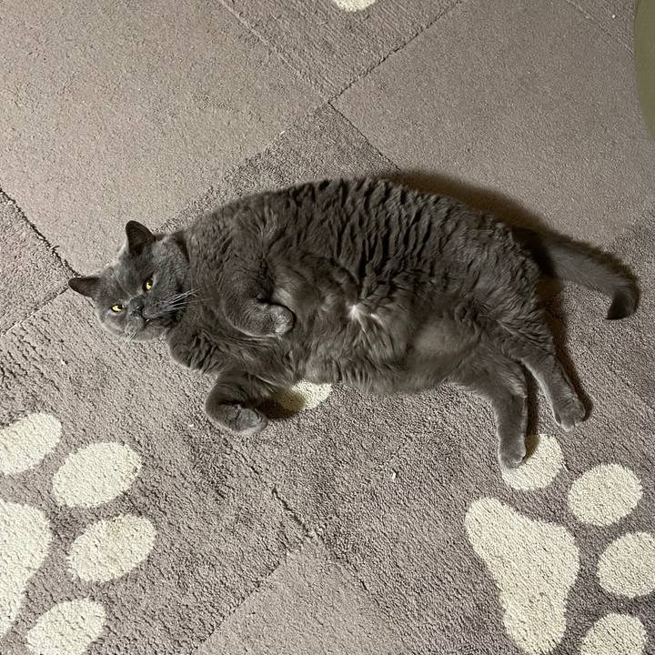 0ce32554 e697 44f8 83de e76225c5c688 1773476196744