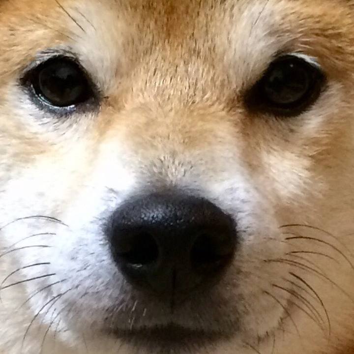 0ce32ca6 0c62 42db 976f 4ff2c6cc633c 1507896065486