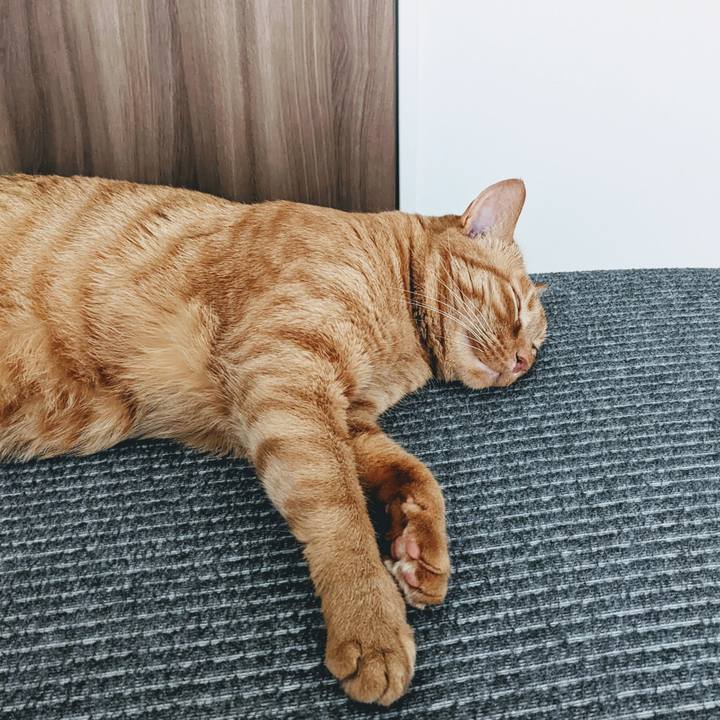 0ce3403b a4ab 47c4 b8aa 8dd90cf8cef0 1652947338966