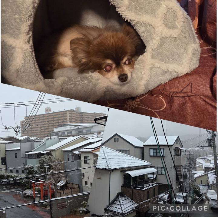 0ce362d7 2297 4c1b bcc9 5d0ba471f352 1770505260752