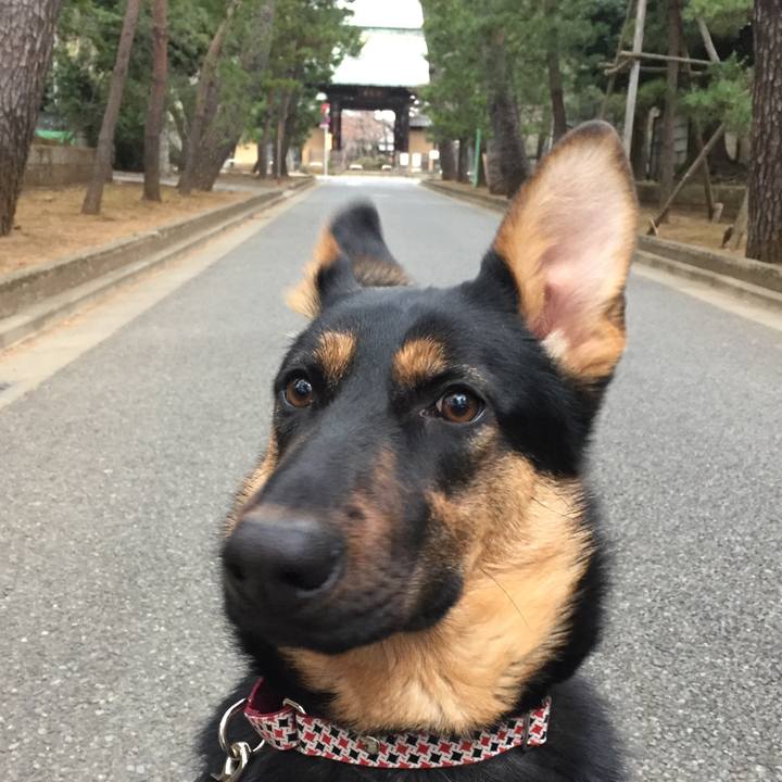 0ce37b83 55f8 4bb4 8276 9f0b6db04ac6 1519601580021