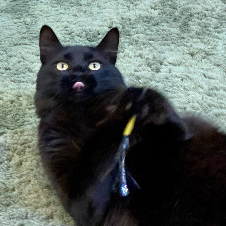 0ce3e952 45f5 4d3e 8e7c 14a22e69b920 1735362107768