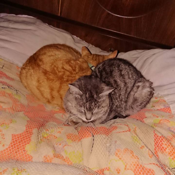 0ce3f933 85ac 4bce 885f 954c669080a5 1584371801206