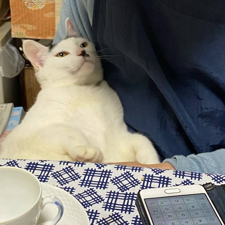 0ce410bf c690 4201 9606 52d8b94d91ff 1583567526690