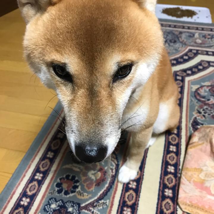 0ce41ec4 3469 4697 9f9f ff508e18b3b1 1544700504501